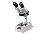 Best Buy! Economical Basic 20X Stereo Microscope