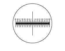 Crosshair Scale