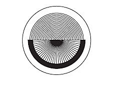 Radius Scale