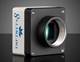 Lumenera INFINITY 8-9C Microscopy Color Camera (Recertified 05-P)