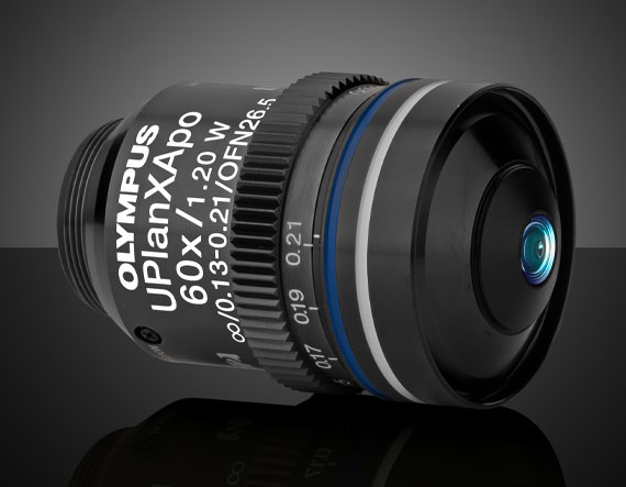 Olympus UPLXAPO60XW 60X Water Immersion Objective | Edmund