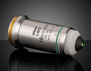 Nikon CFI75 水浸式下沉物镜