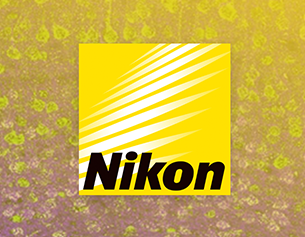 Nikon