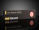 Lame Détection Laser, Gamme VIS