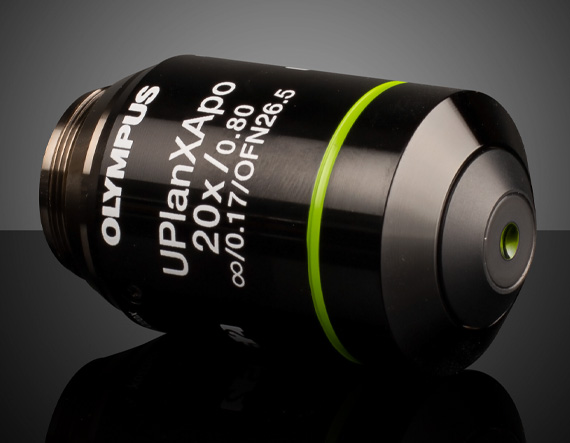 オリンパス 顕微鏡 対物レンズ UPlanFI 4x/10x/20x 3個セット