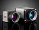 IDS GV-5040CP-M-GL, GigE, 1/2.9'' Monochrome Camera (Recertified 05-P)